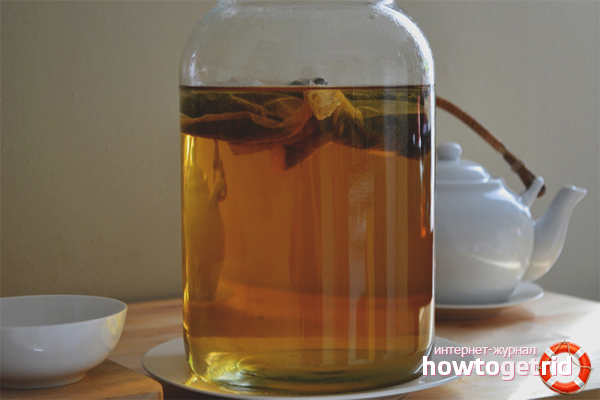 Готвене Kombucha