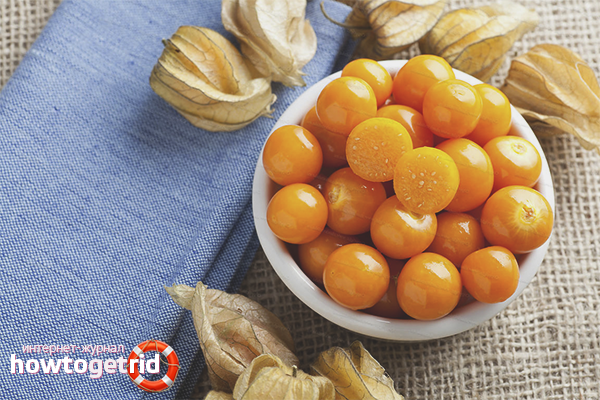 Physalis има полза при лекуване на рани