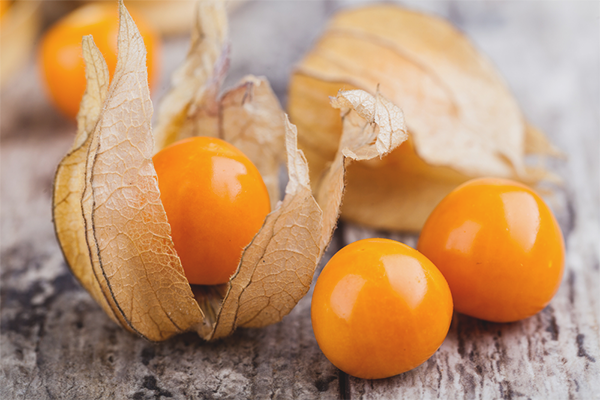Ползите и вредите на Physalis