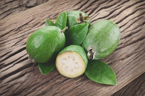 Полезни свойства и противопоказания на feijoa