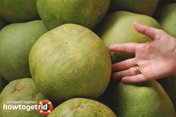 Правила за избора на pomelo
