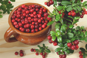  Lingonberry по време на бременност