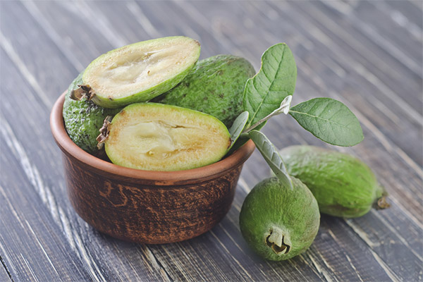 Feijoa по време на бременност