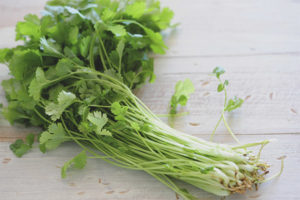  Cilantro по време на бременност