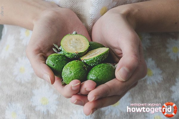 Противопоказания за feijoa по време на бременност