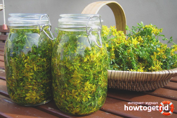 Hypericum в народната медицина
