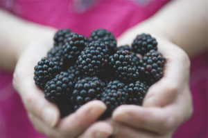  Blackberry по време на бременност
