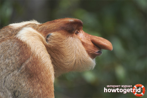 Начин на живот
