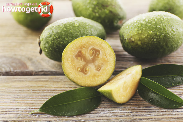 Как да се хранят feijoa
