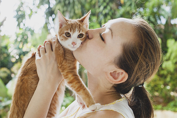 Защо не целуна котки